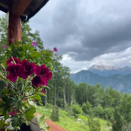 Thethi Mountain Guest house