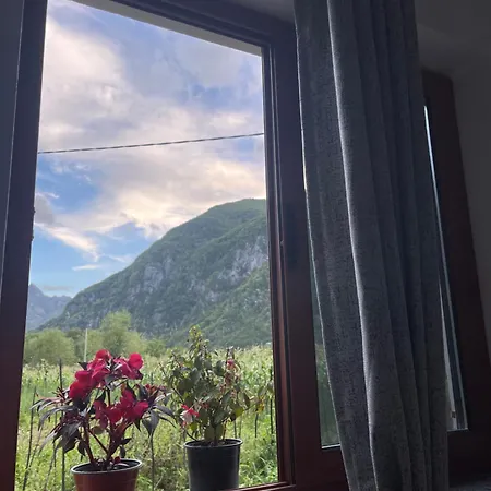 Guest house Thethi Mountain