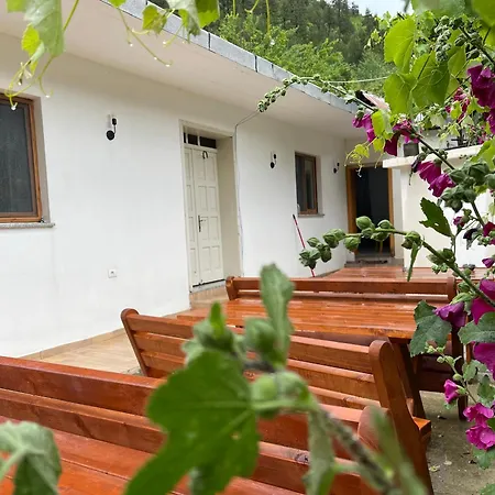 Thethi Mountain Theth